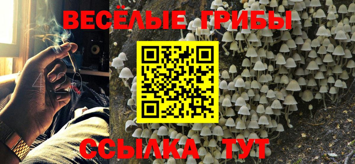 Елизово  Галлюциногенные грибы мицелий  Галлюциногенные грибы MAGIC MUSHROOMS  Вход с VPN 